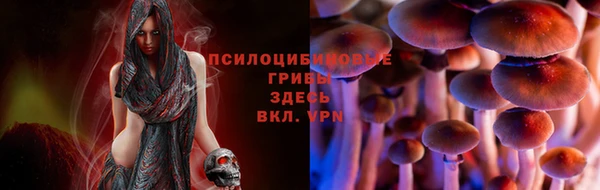 экстази Пестово