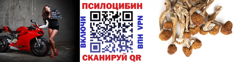 Галлюциногенные грибы Cubensis Кедровый