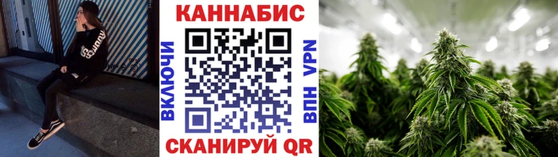 Канабис индика  Кедровый 